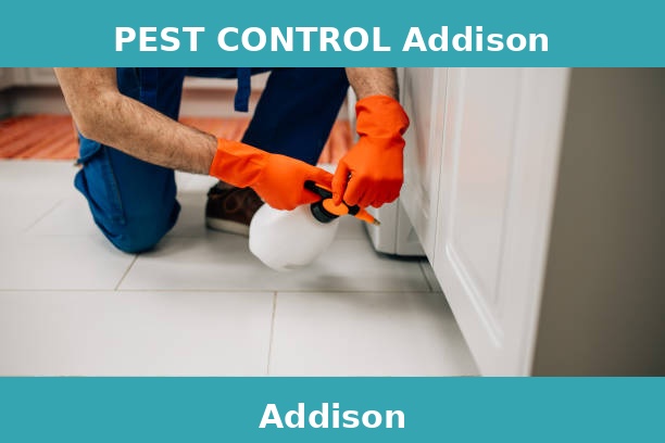 PEST CONTROL Addison